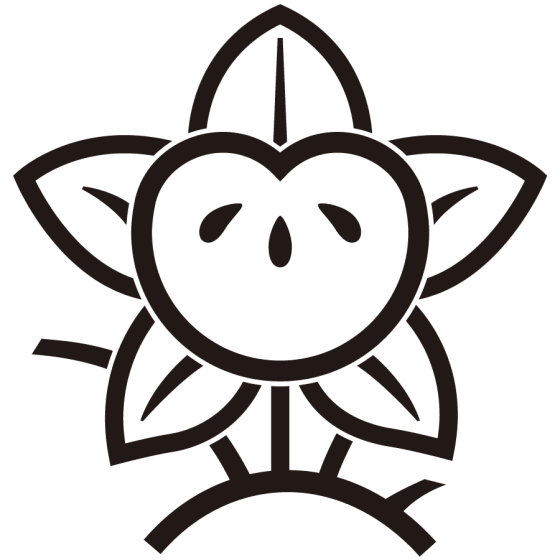 陰光琳枝橘紋