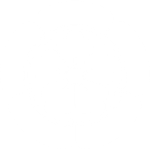 秋元瓜
