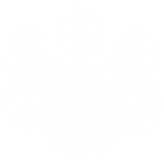 五七桐