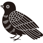 鳩紋