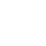 庵に木瓜