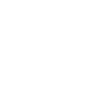 三つ盛り木瓜