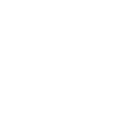 二頭立浪