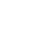 剣花角紋