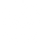 竹丸に桐