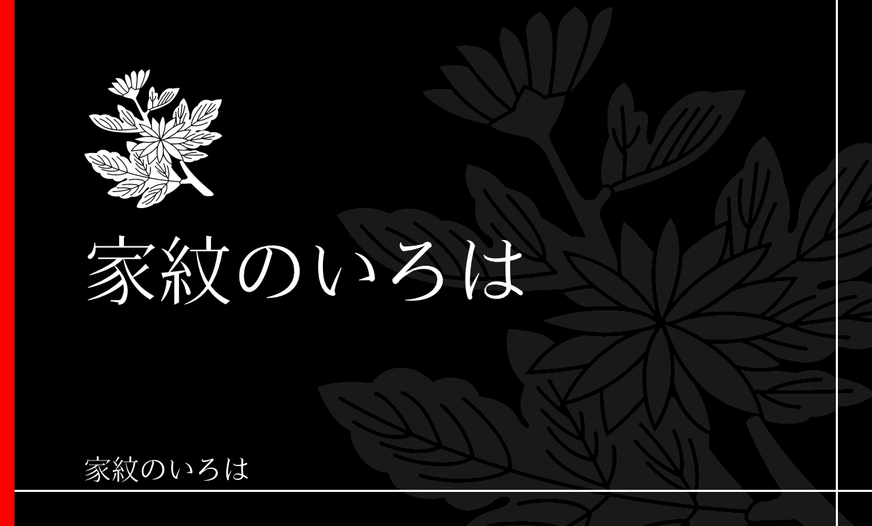 菊
