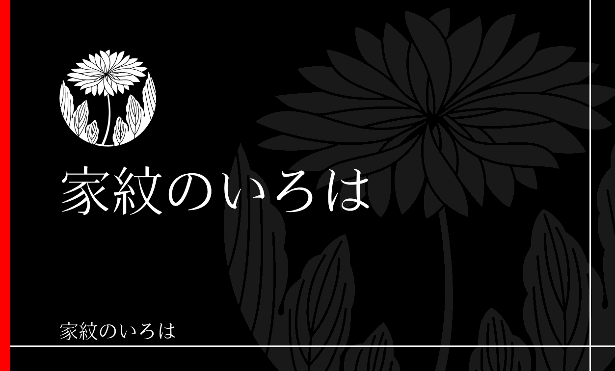 菊