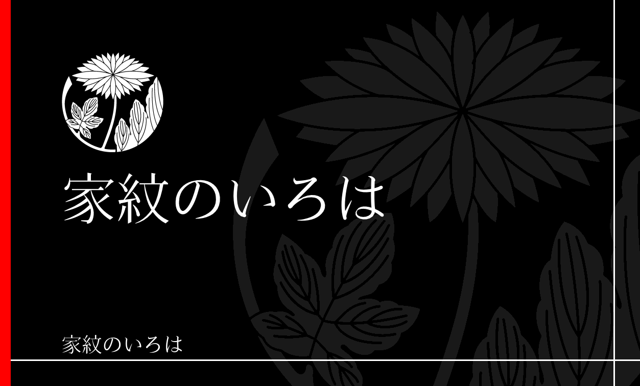 菊