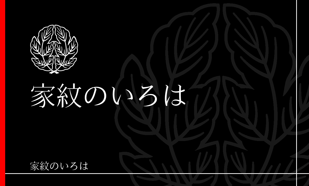 菊
