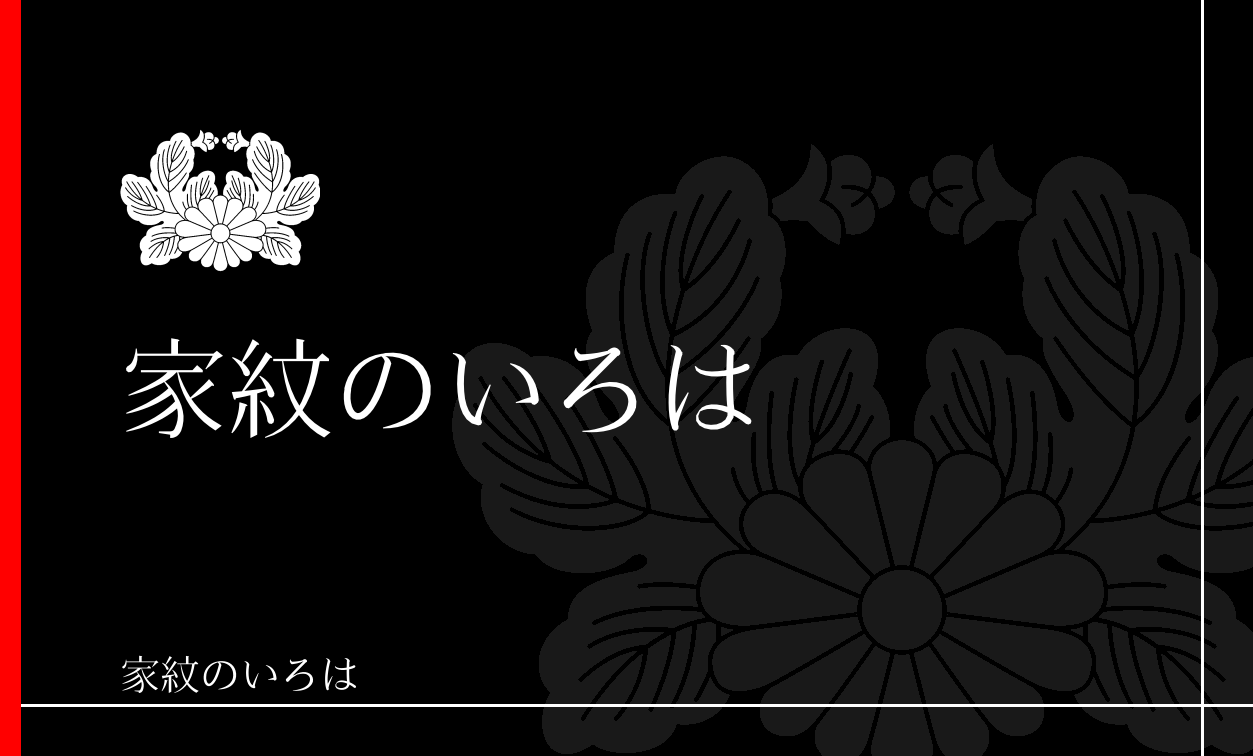 菊