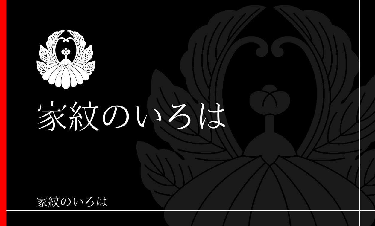 菊