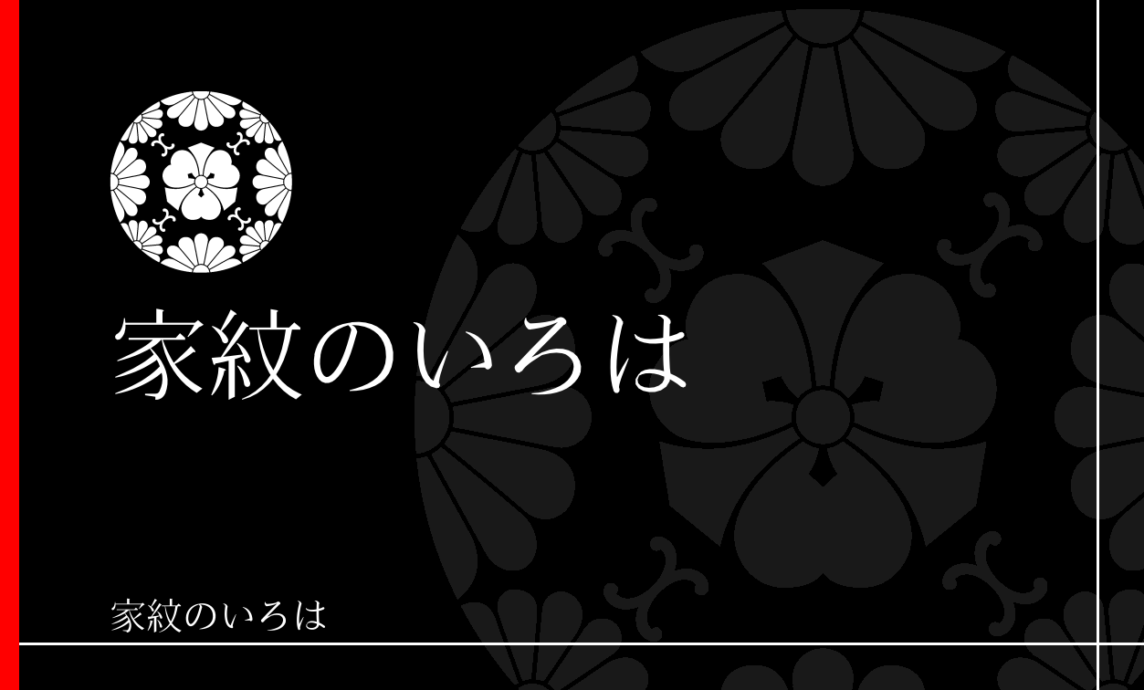 菊