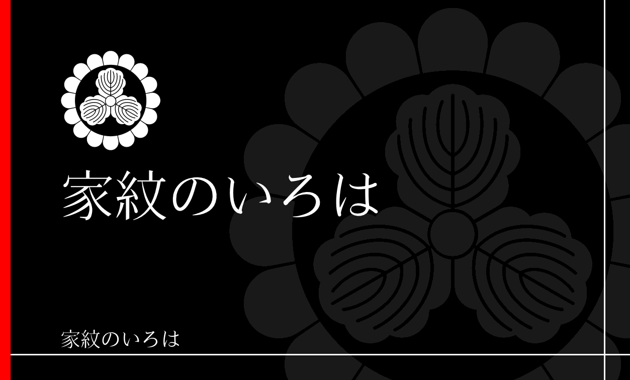 菊