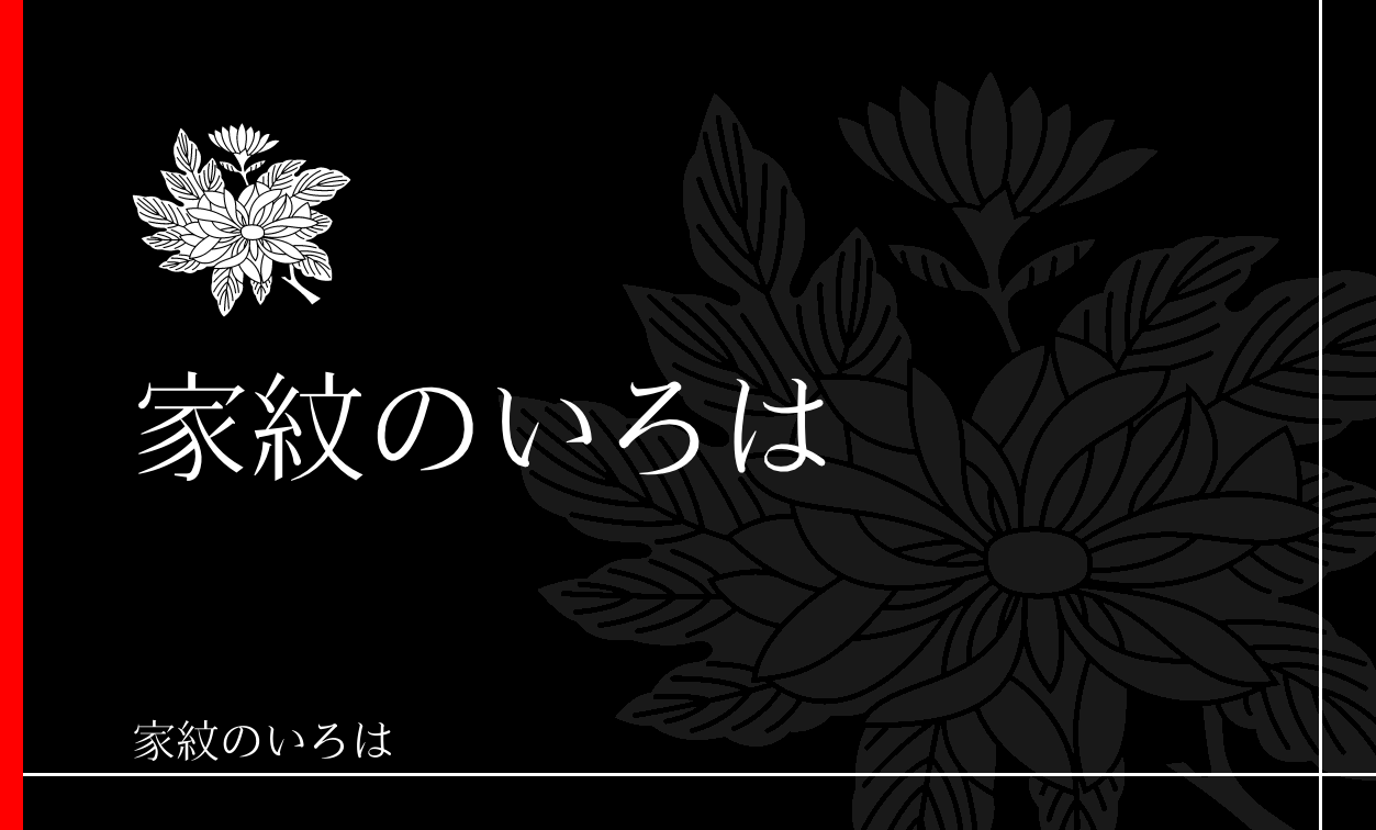 菊