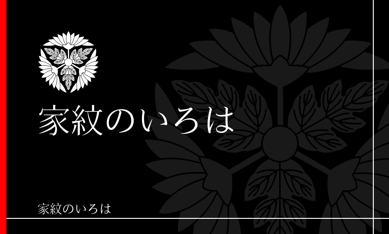 菊
