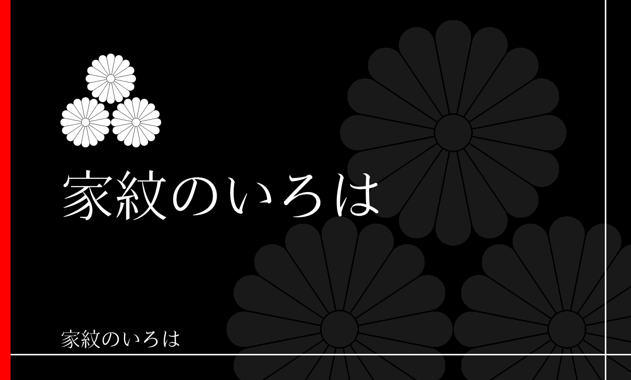菊