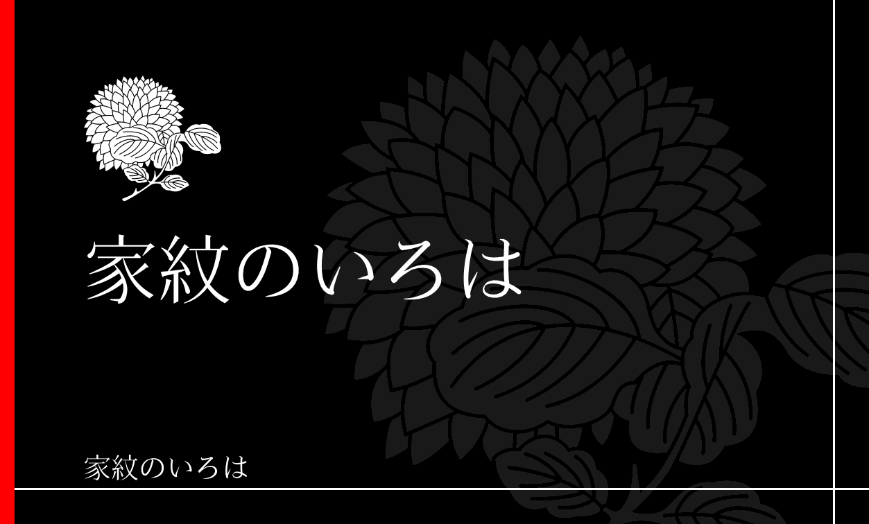 菊