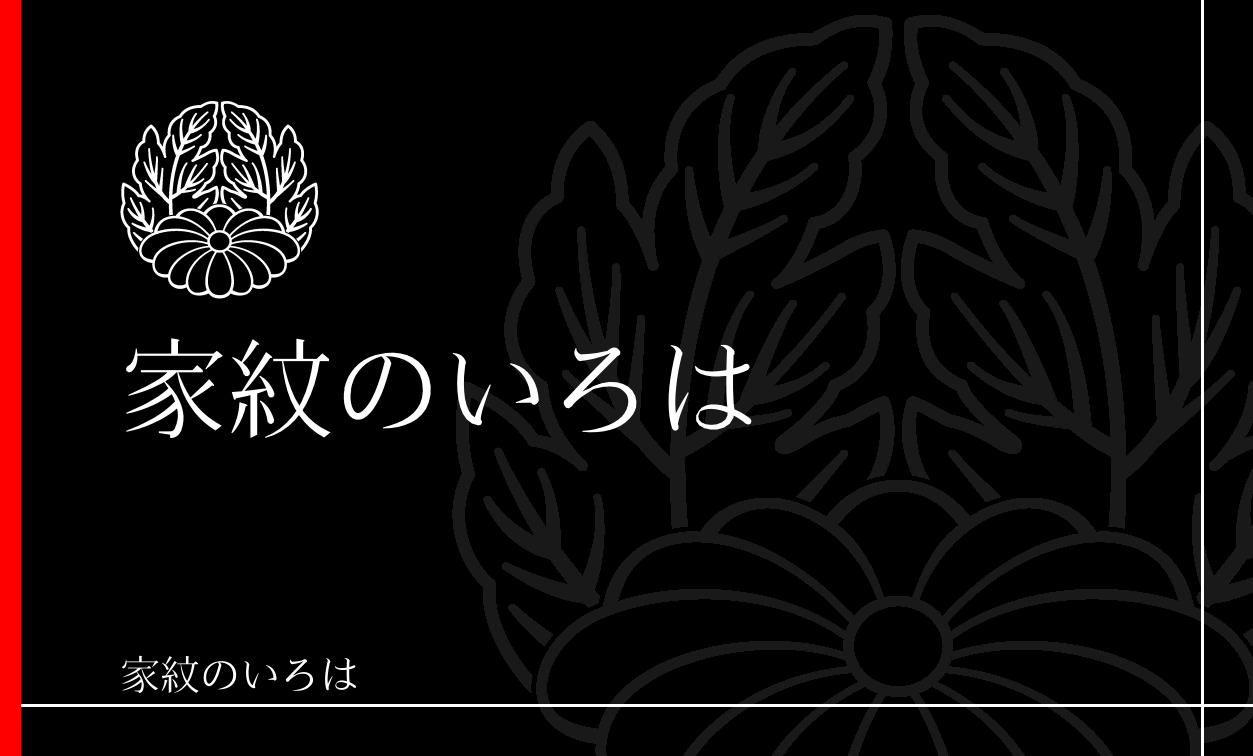 菊
