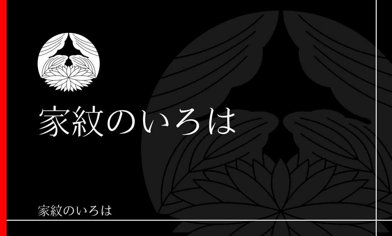 菊