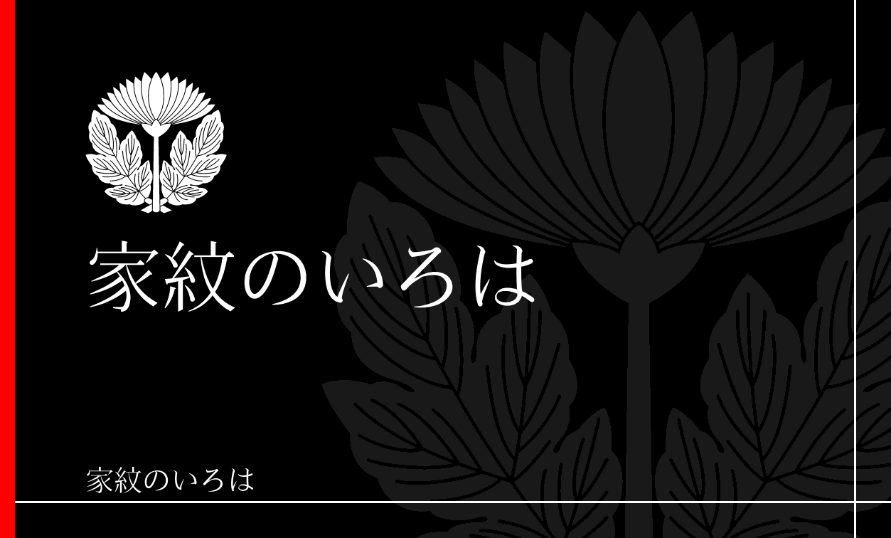 菊