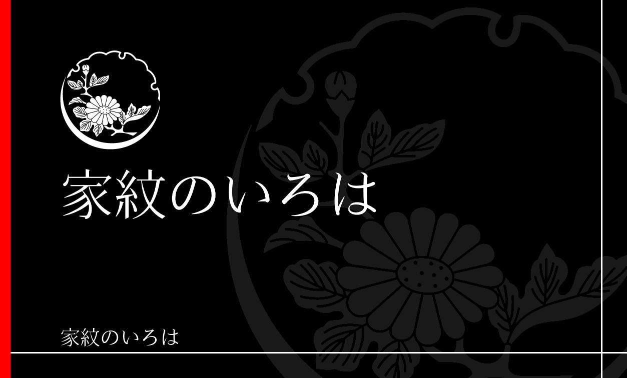 菊